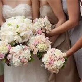 fwthumbimages-2 (1).jpg